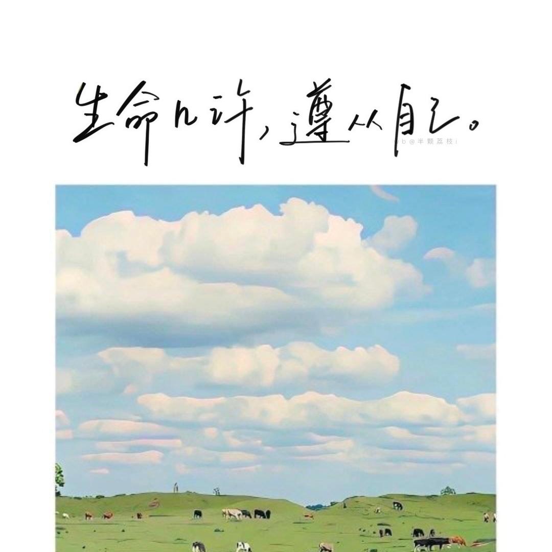 华舟教育