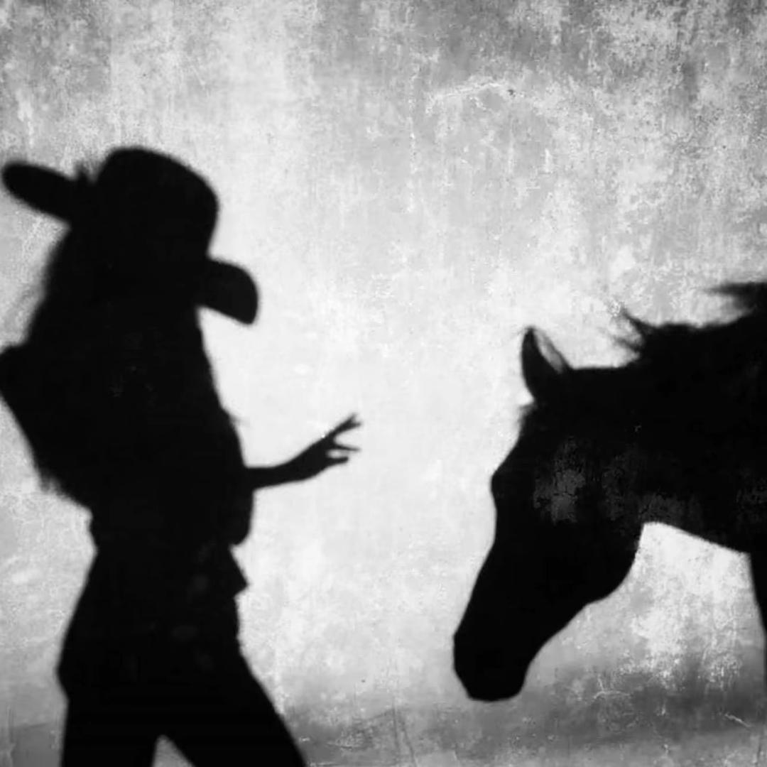 或许我不该太依赖你