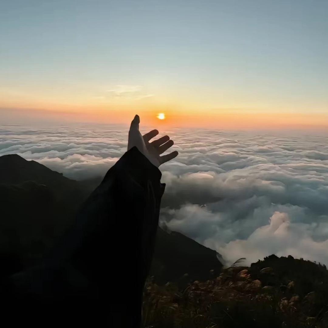 拳场的张安头像