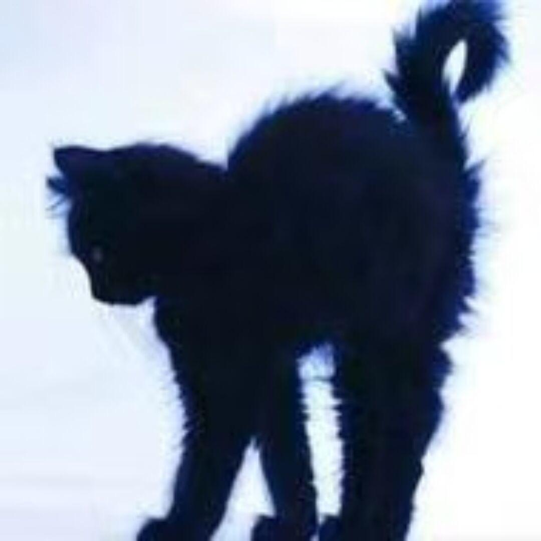 痕迹海