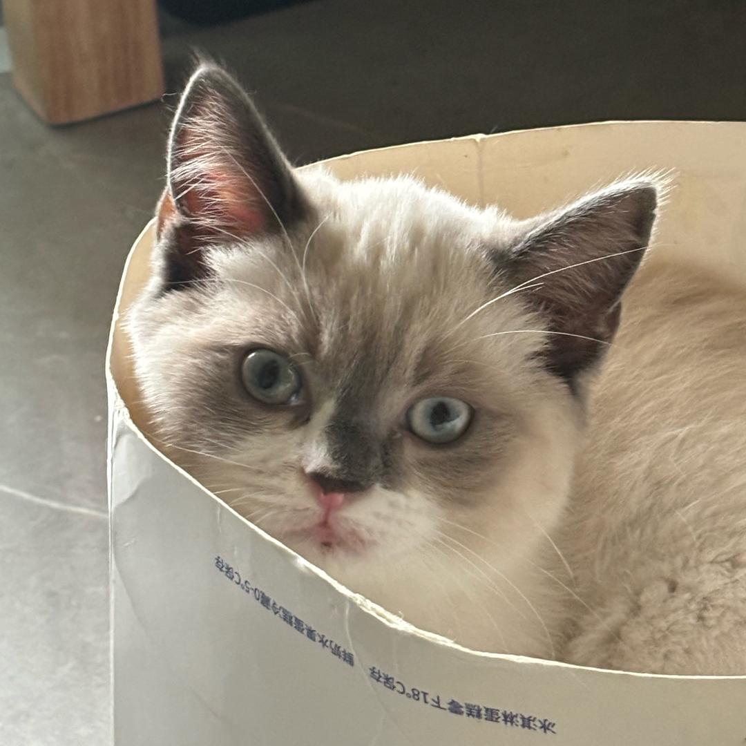 希望有很多很多糖