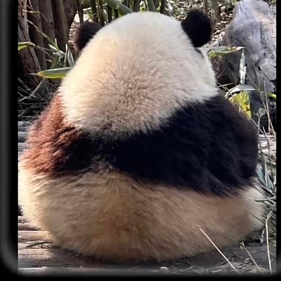 徳赢丁