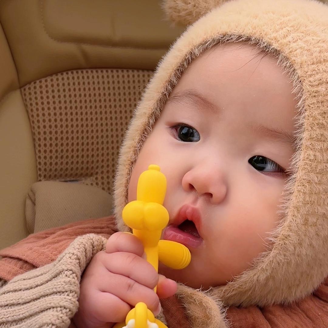 伊一酱（10月龄）