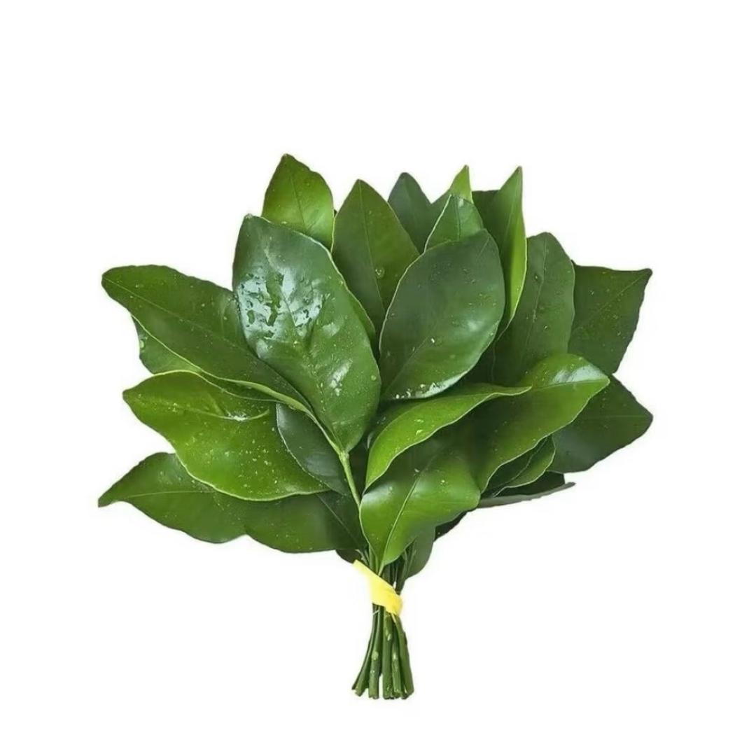 暂时还没有网名