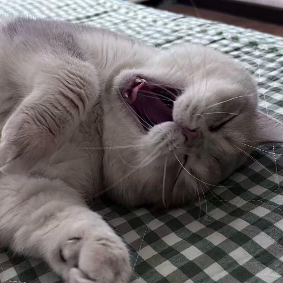 Oi！