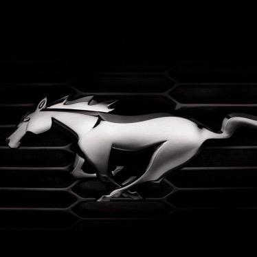 重庆安福进口车晚晚