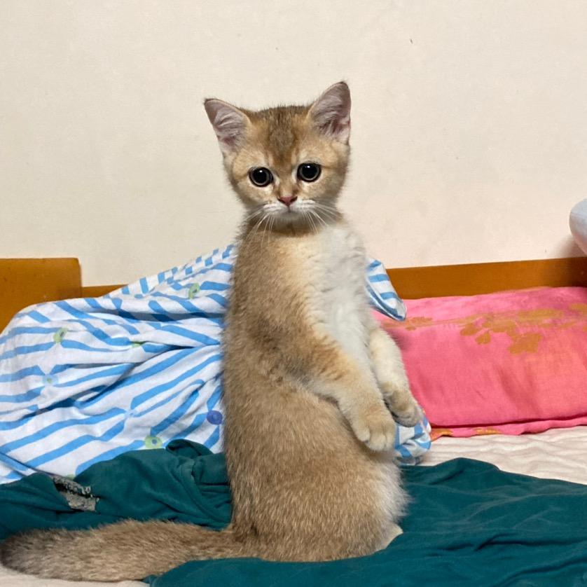 正在加载……