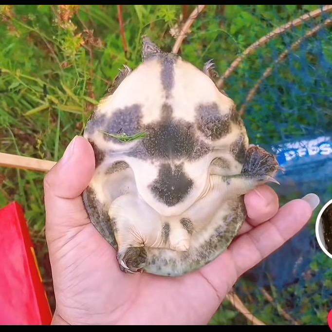 永康水产、甄选优质好货