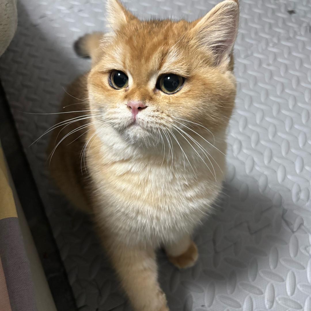 🇨🇳当代🍷俗人💋