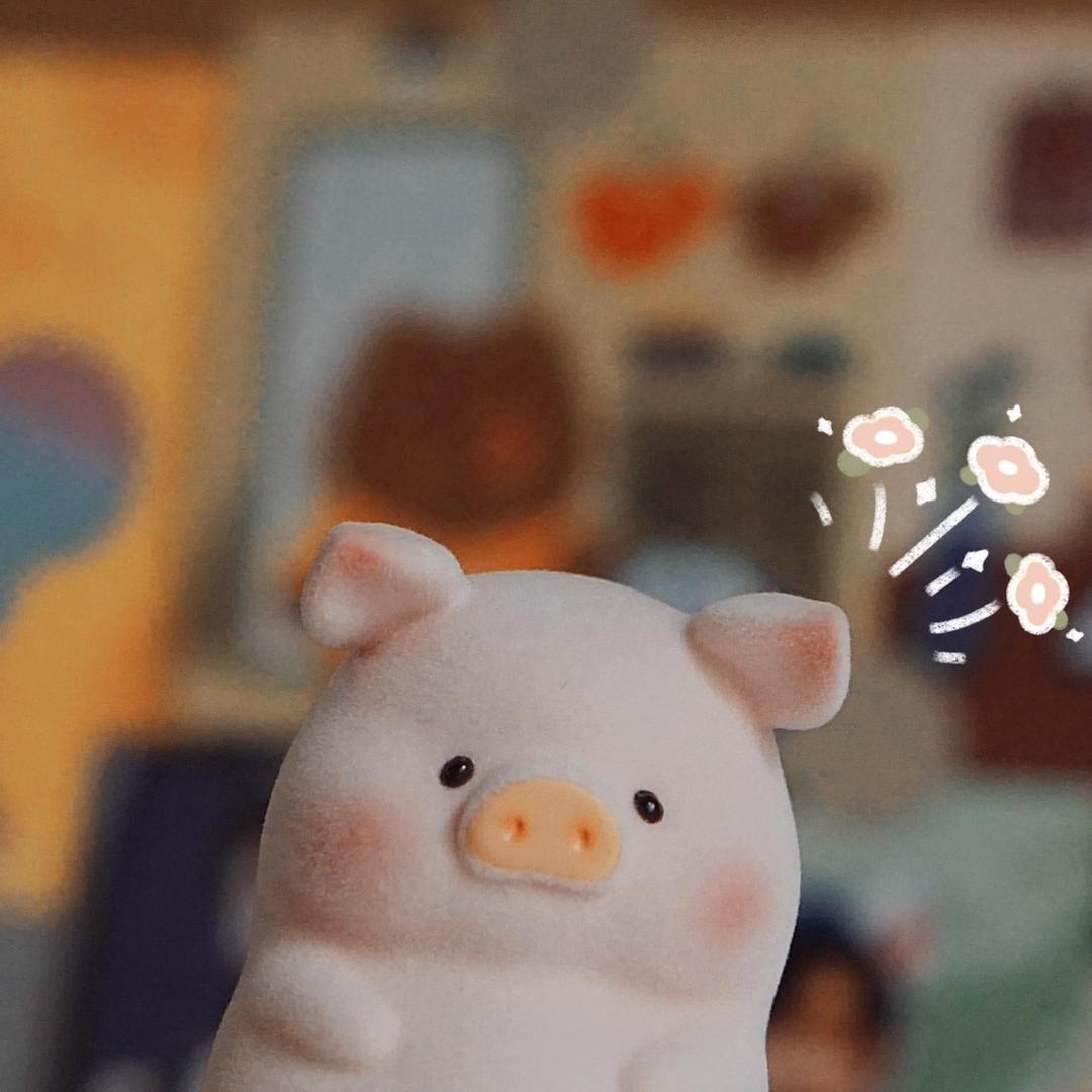 肿么肥四🐽