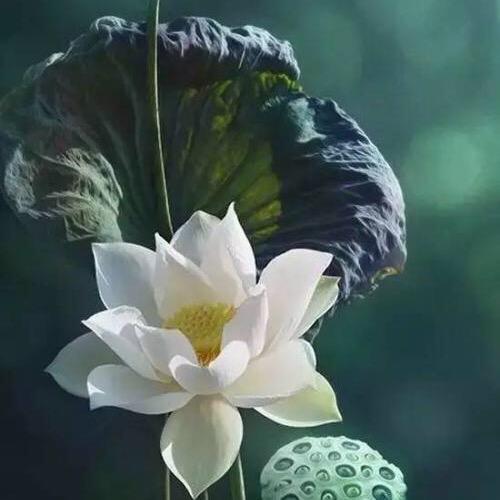 @李宁