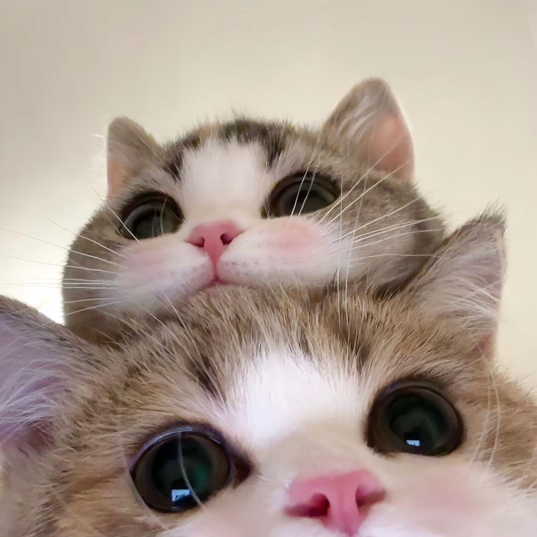 l_u