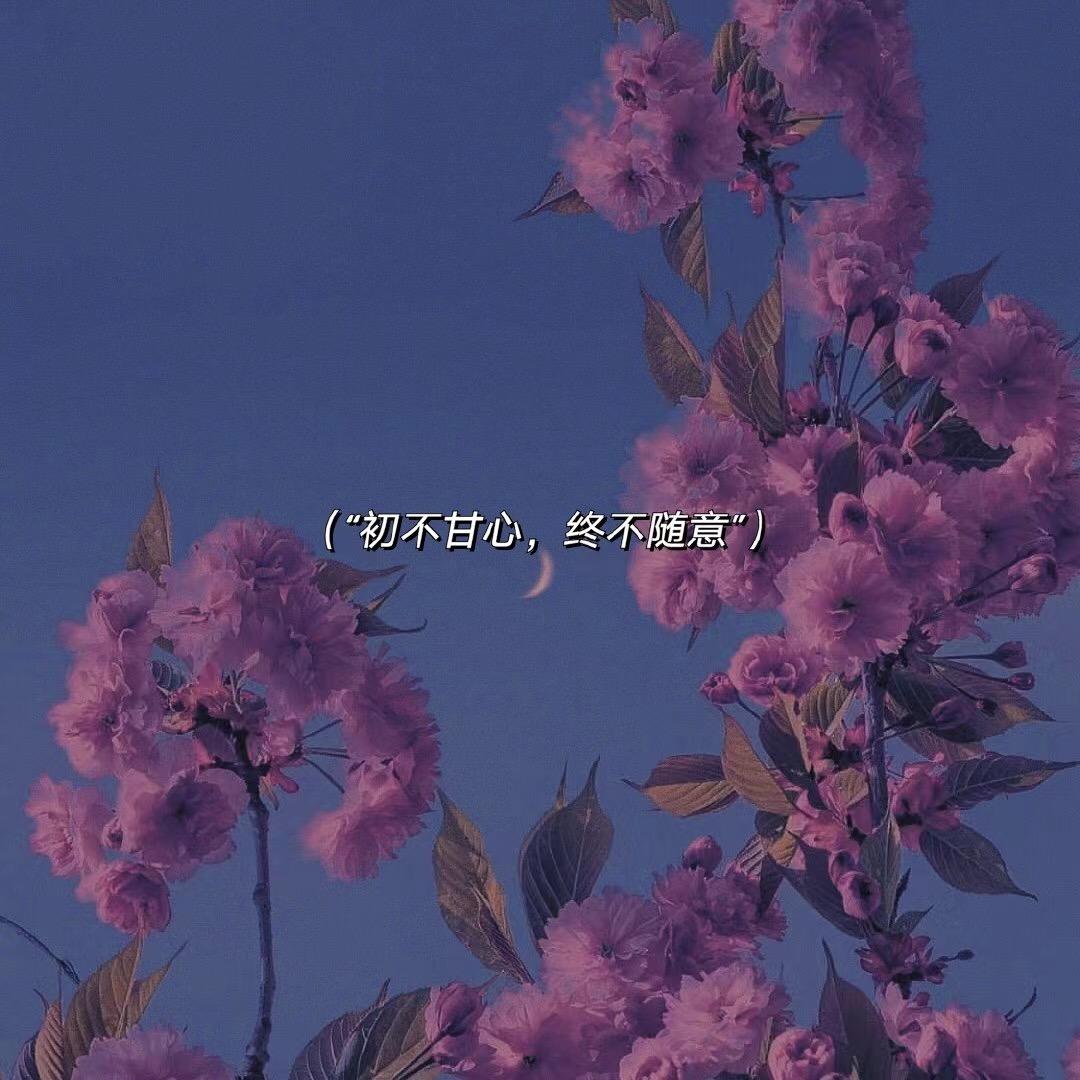 客服小助理。