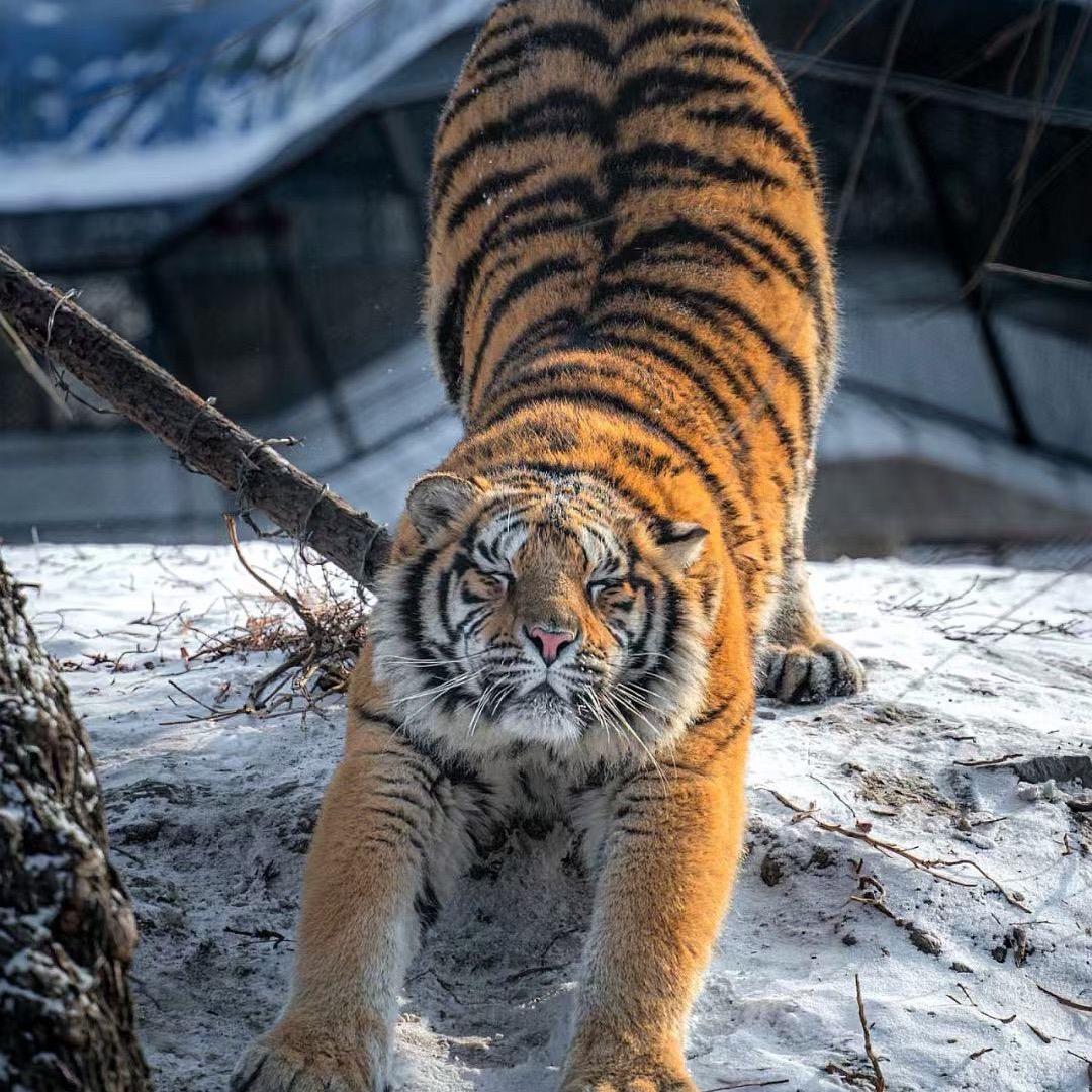 我对你爱爱爱不完