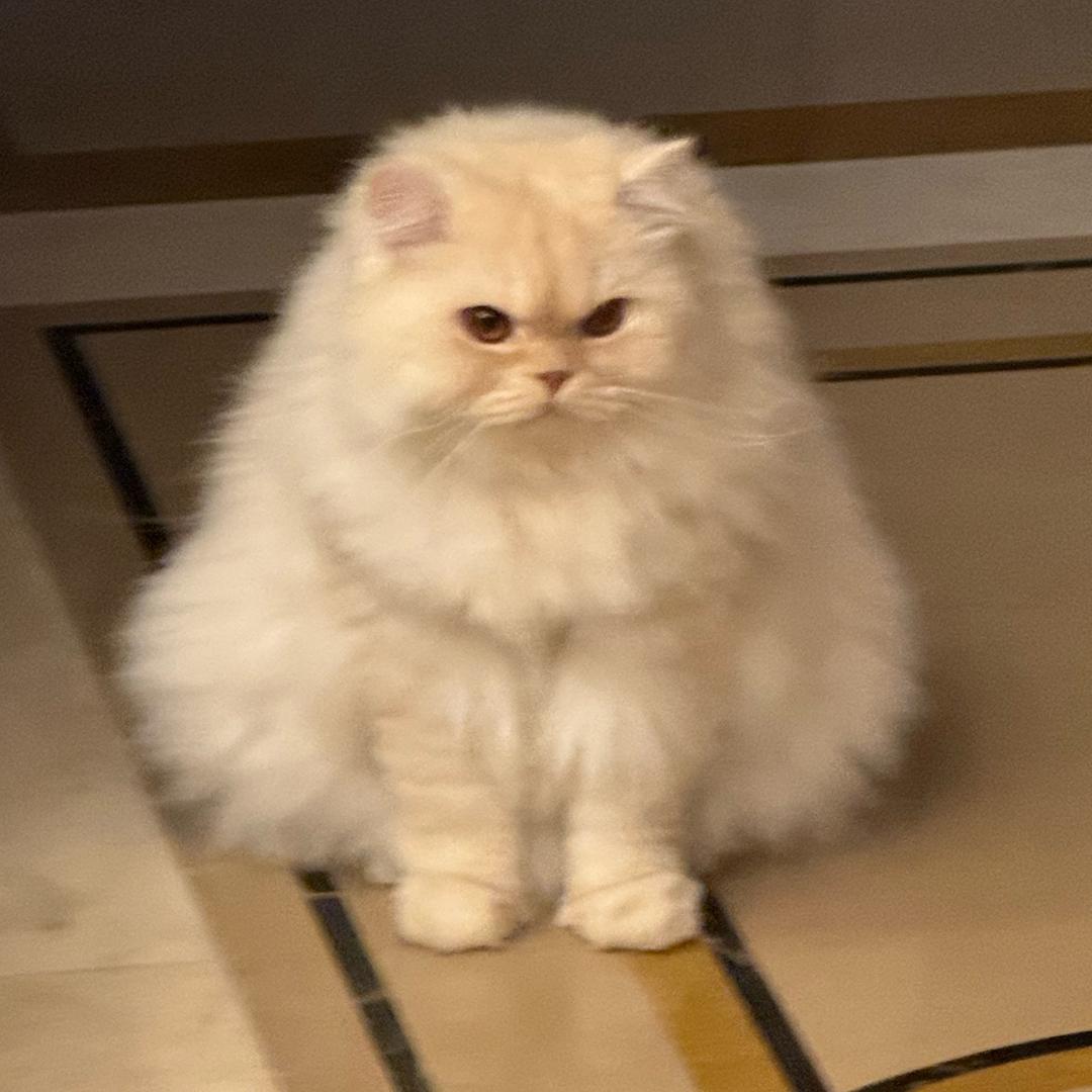 出门不捡就是丢