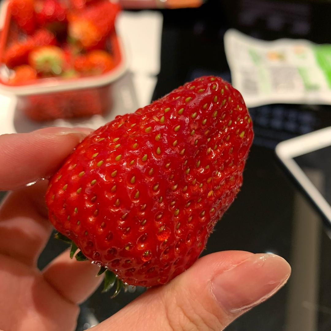 一颗莓🍓糖度备忘录📕