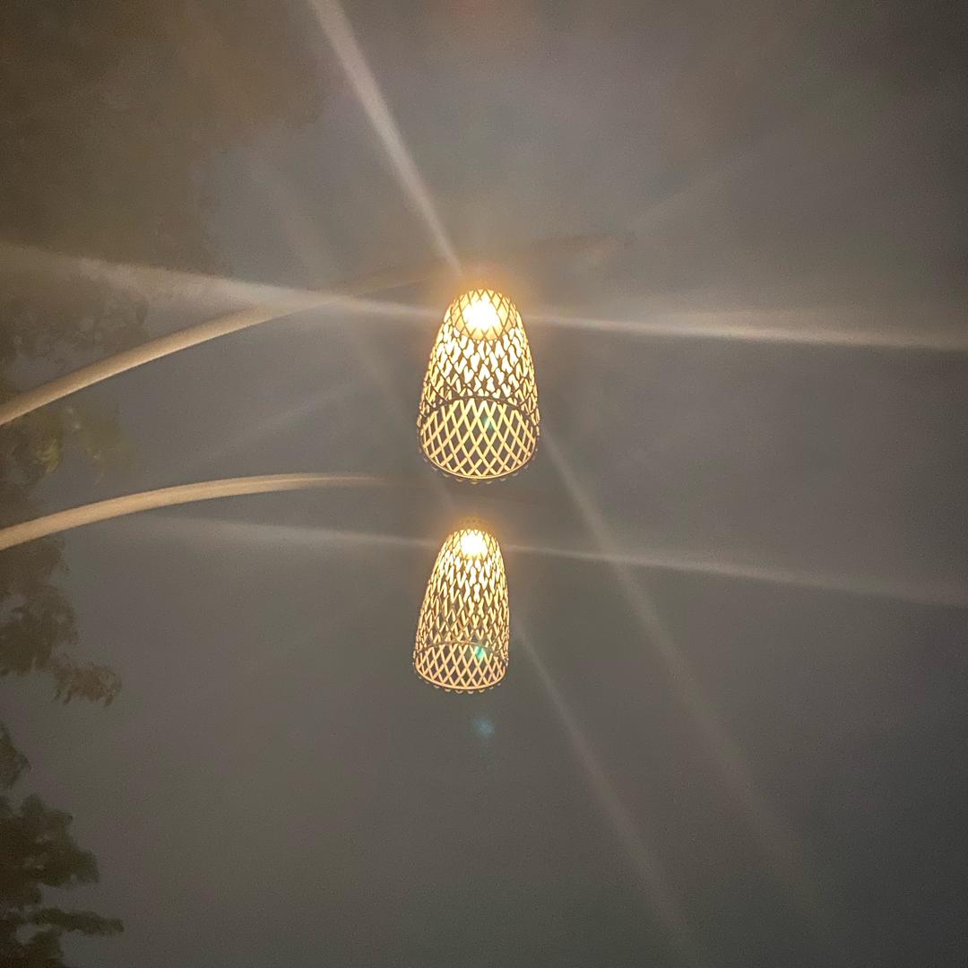 佛山/长白班/工作