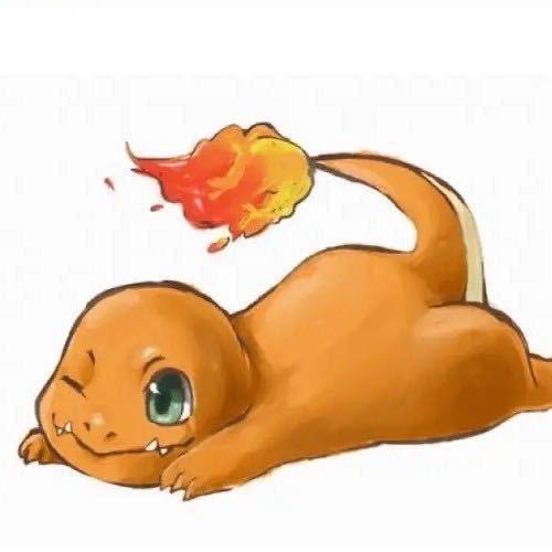 用户羊666
