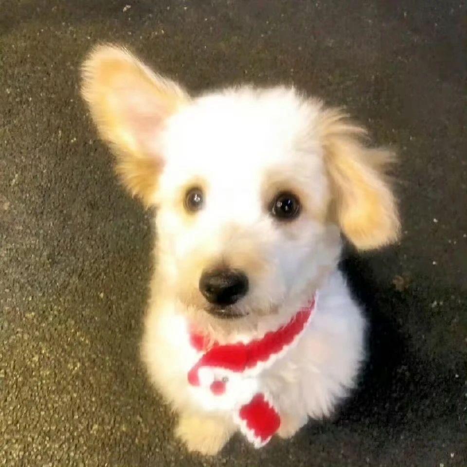 小呆的乱₇₈糟