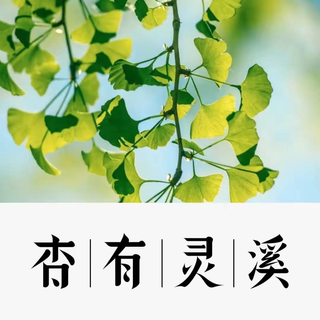 都江堰.杏有灵溪