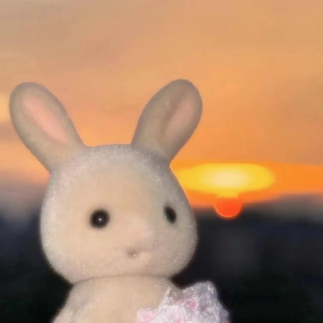 写代码的发财树