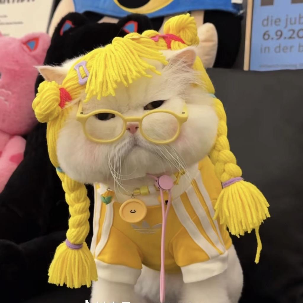 萌宝童装店！。。！。，？。，