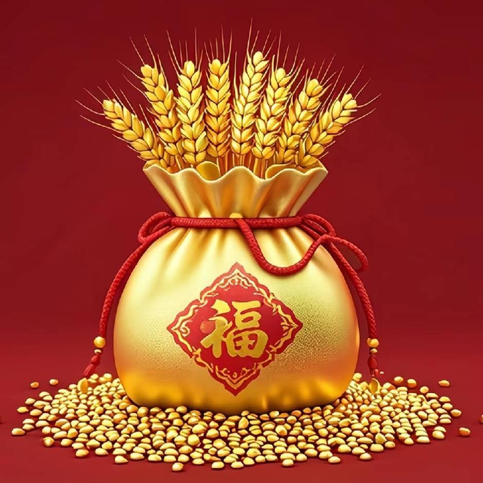 壹王情深