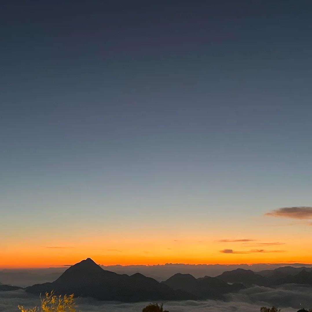 今天