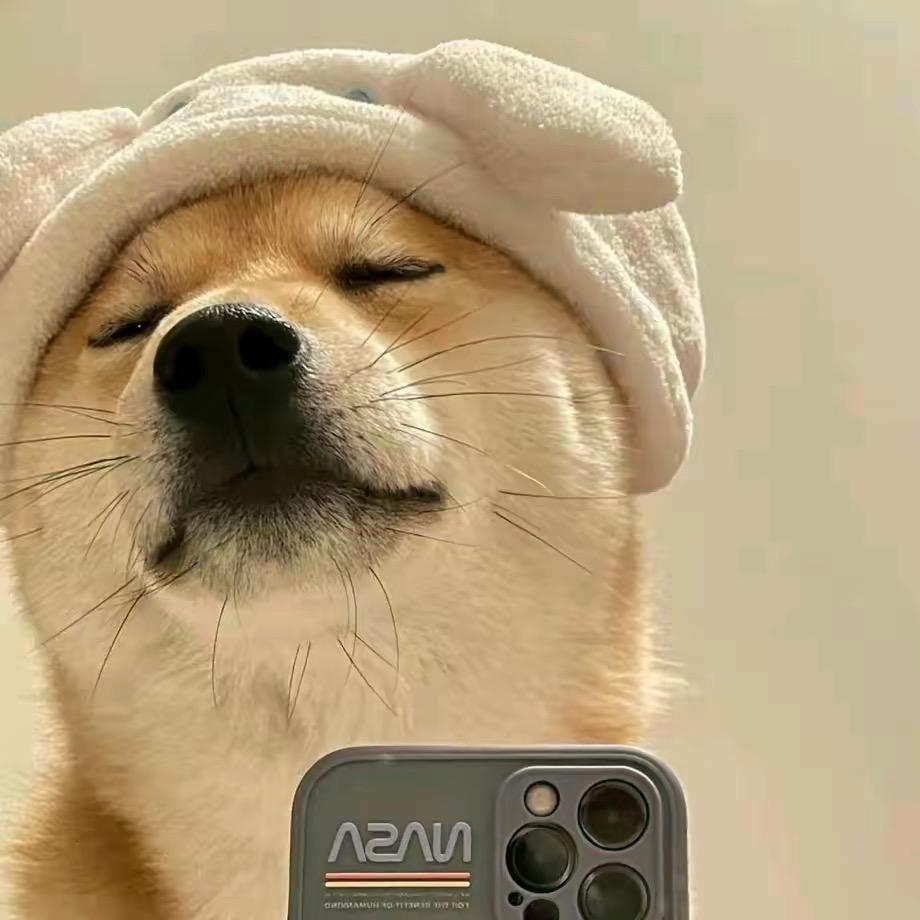 我没喝多🔰 ㍿