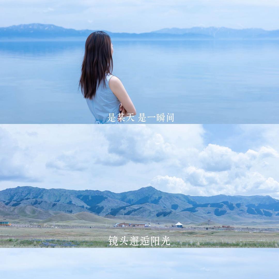 栗子树