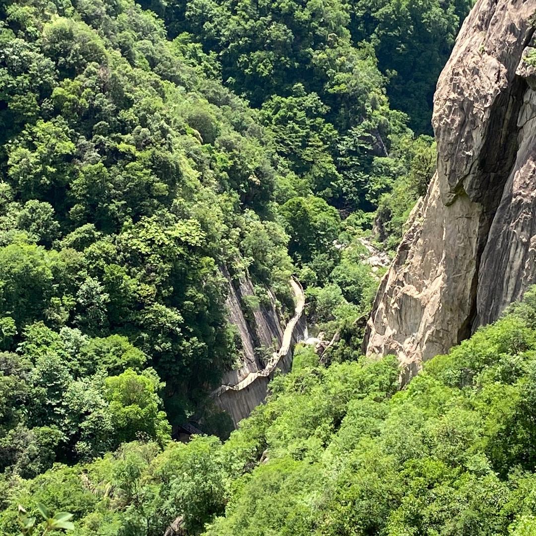 姬星高照