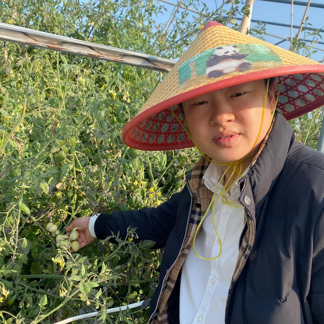 漳浦县绿蔬源贸易商行