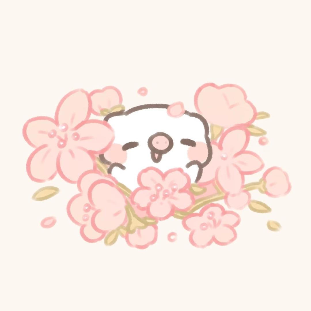 照烧小笨猪