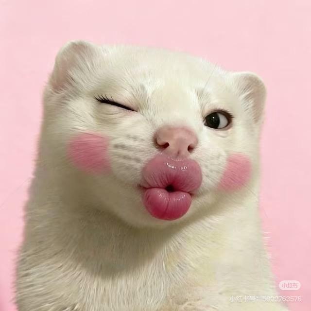 檀宫宿舍小窝🕸️🪹