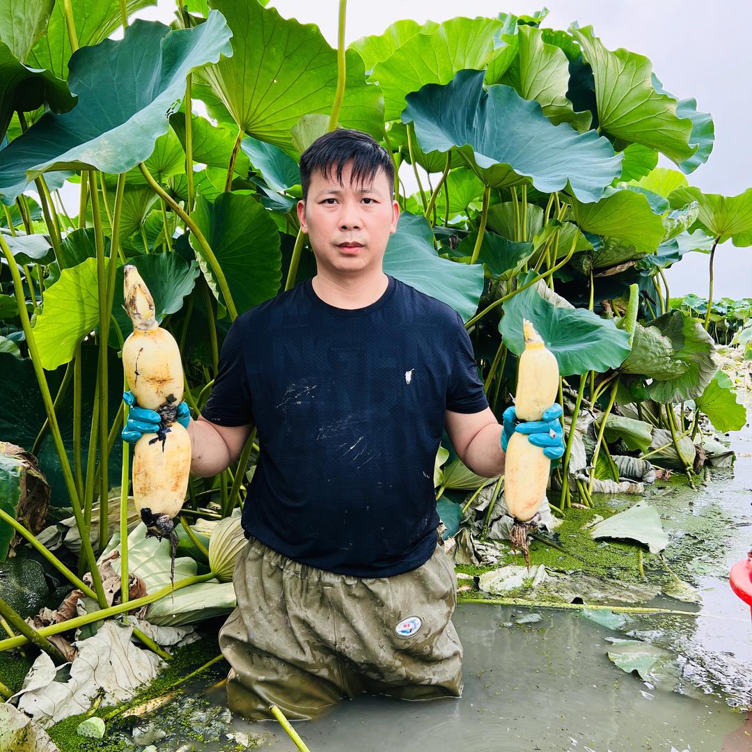 小小荷苗农场～乡村阿泽