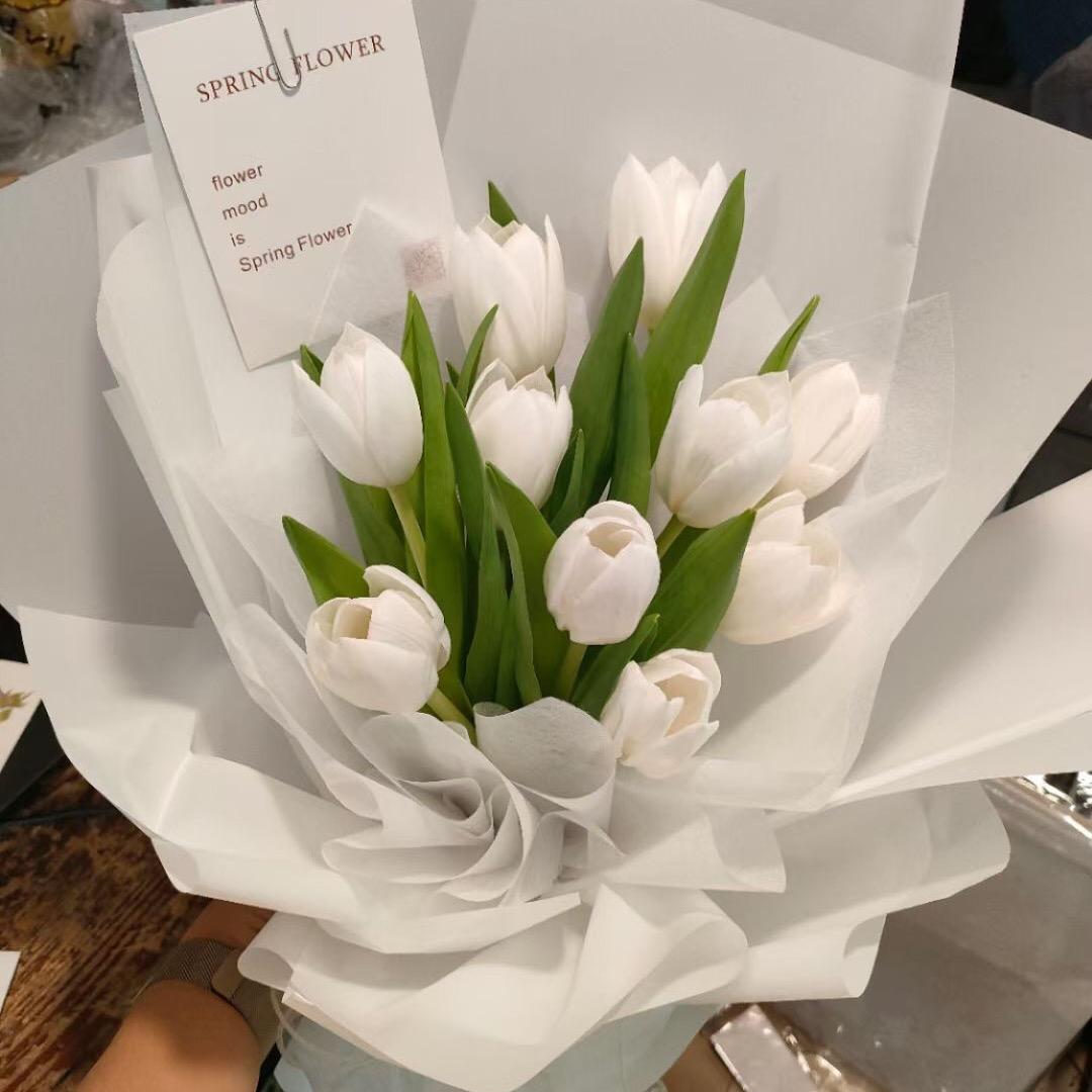 🍒摆烂小鱼🍒