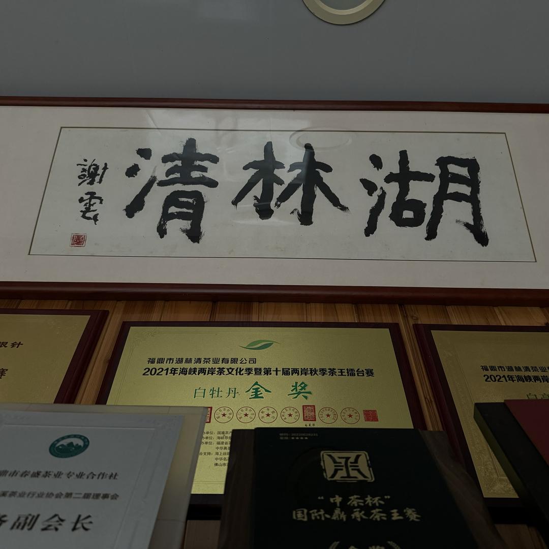 福鼎市湖林清茶业有限公司--夏彬