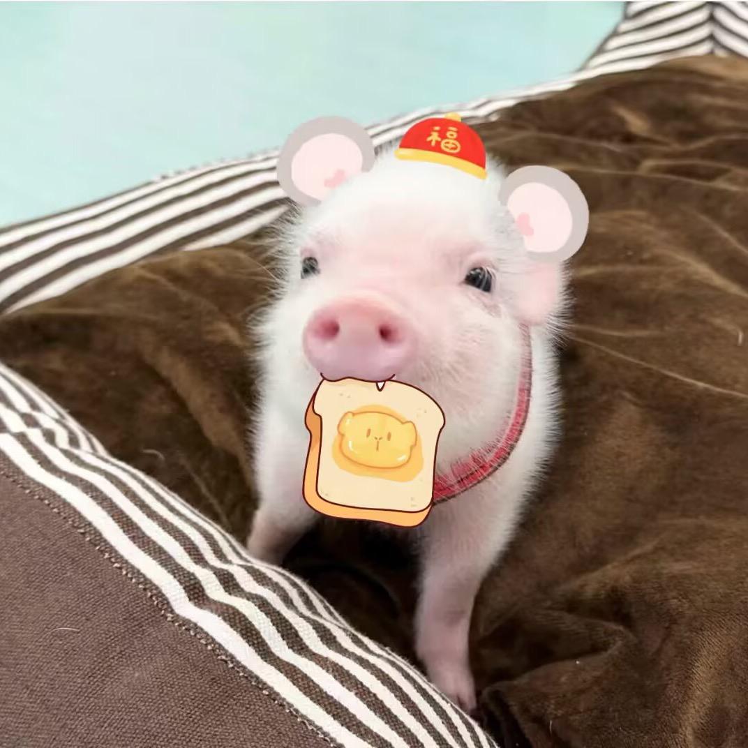 小媛媛