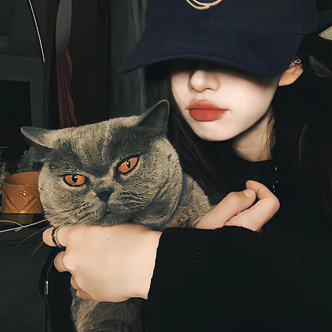 💫凌晨一点的猫
