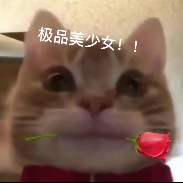平凡人生