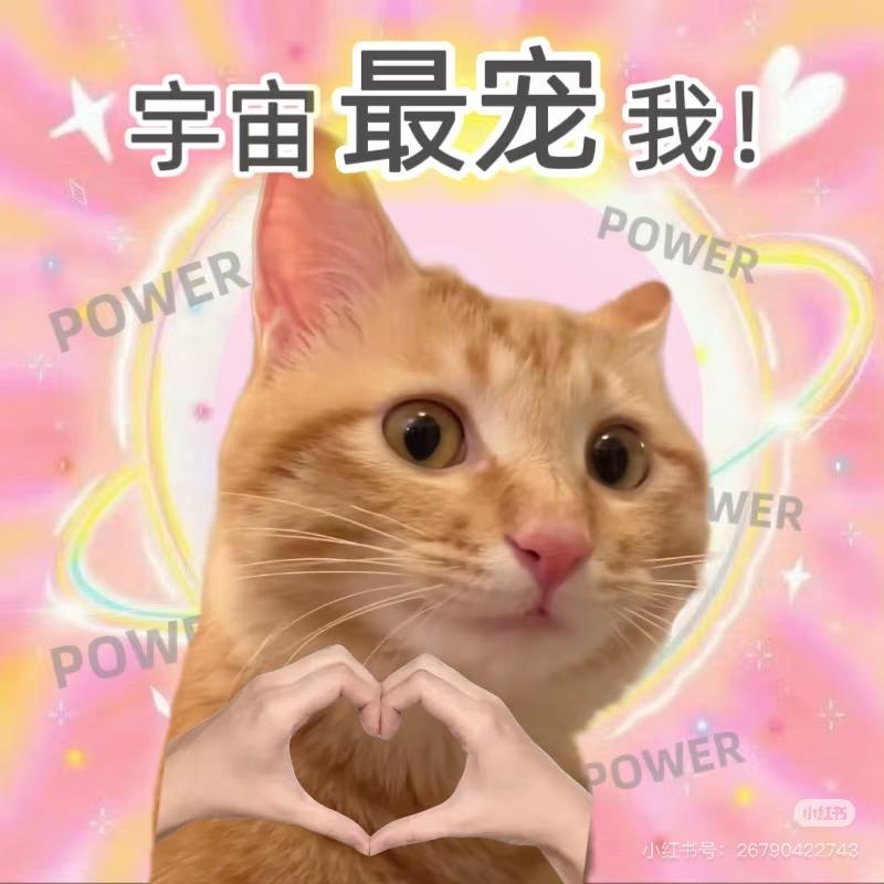 心灵小站
