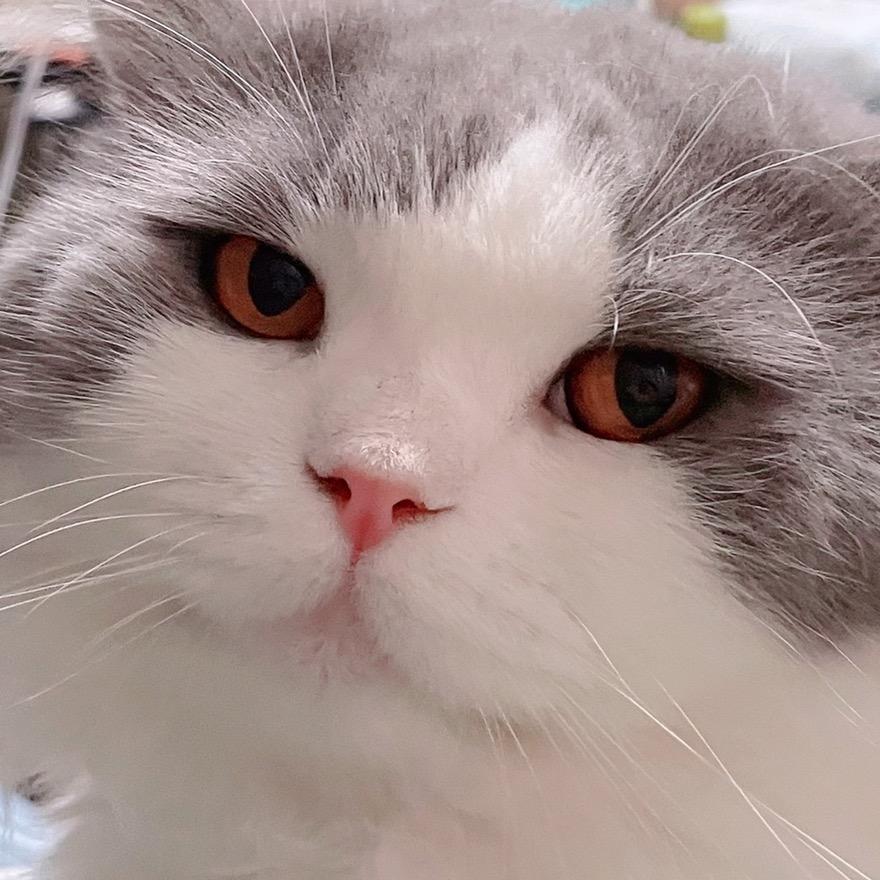 在鲍比家门口和我会合