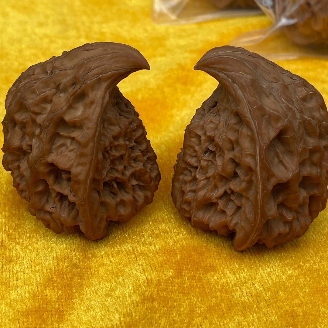 银核源