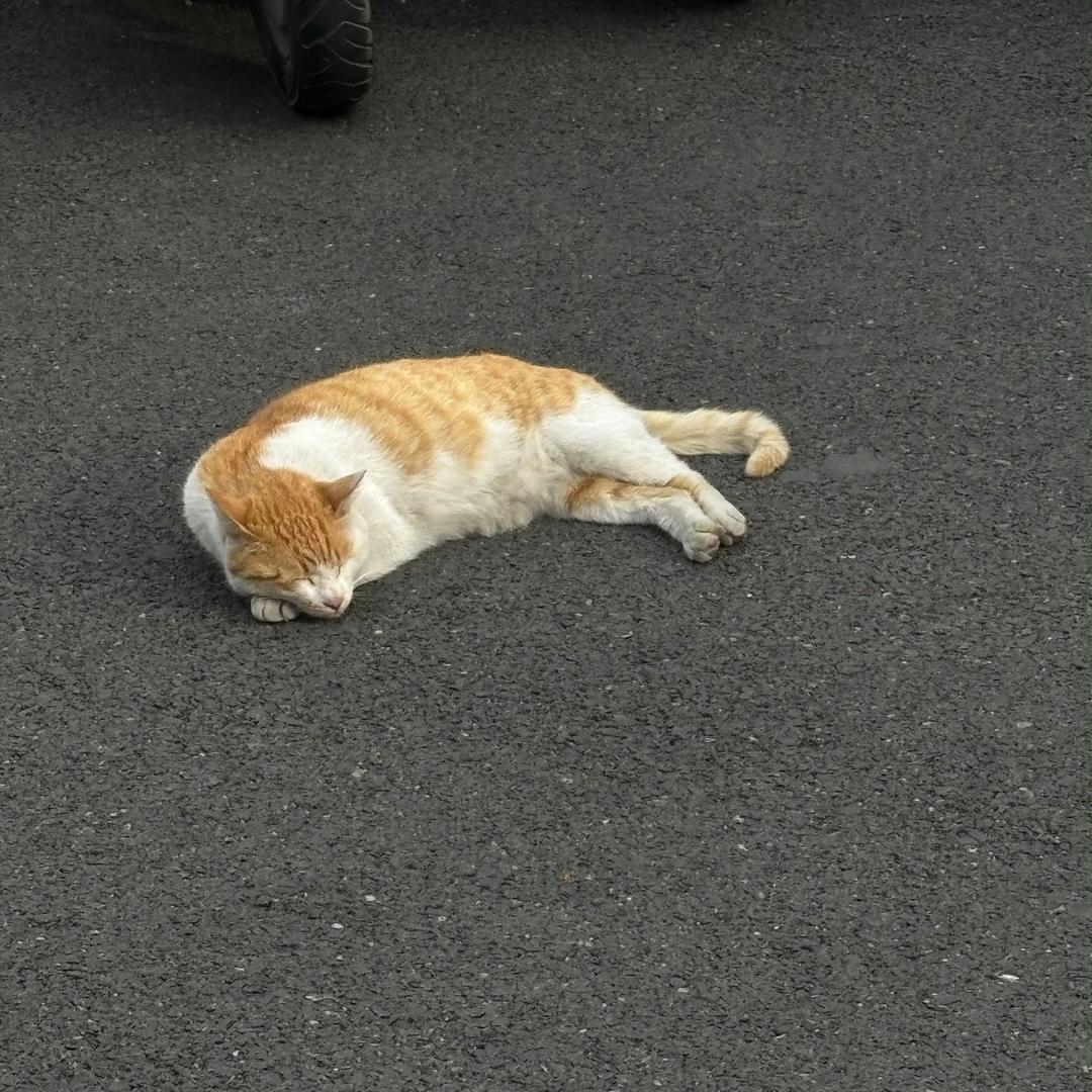 。。。。。。。