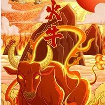 阳泉火牛（焊）