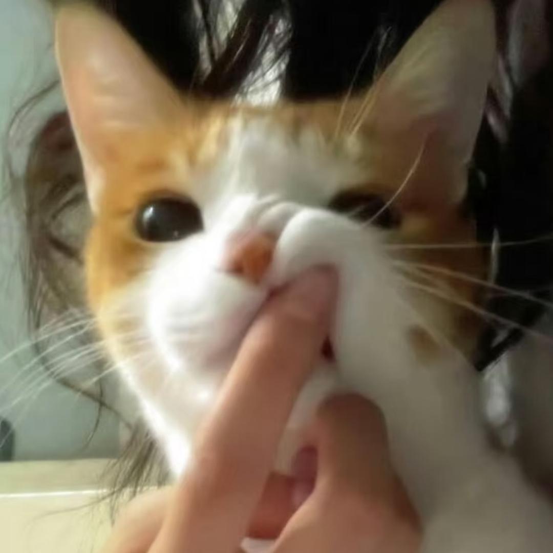 赫尔希会笑栗壳