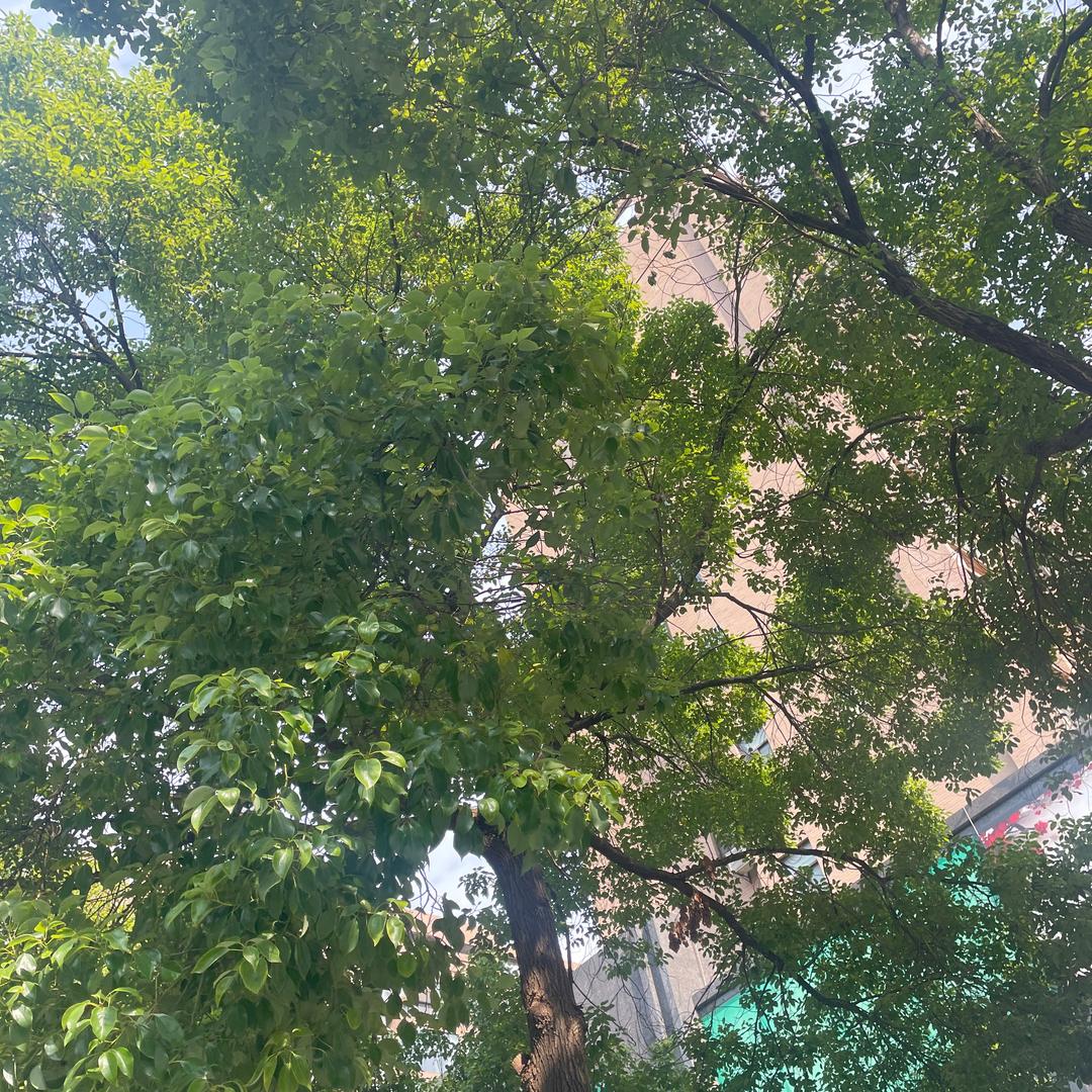 回忆童年