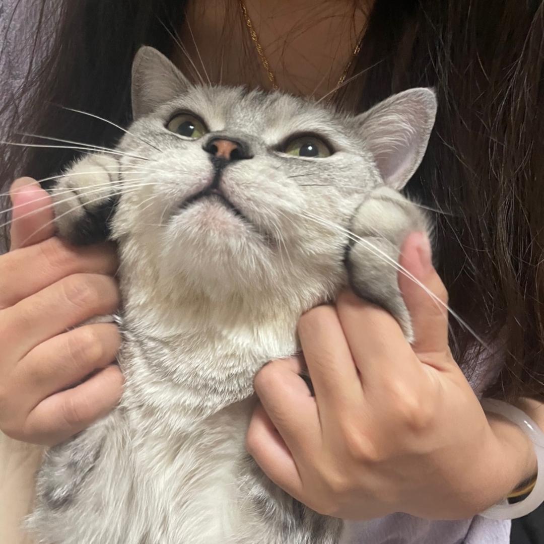 干饭选手该下班了