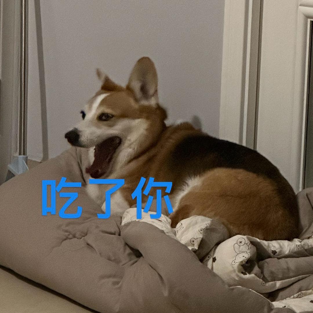 一年