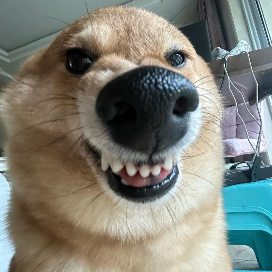 胡有鱼